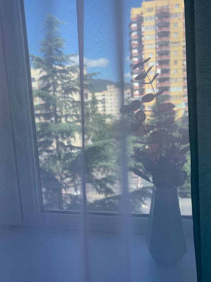 Apartments Of Gregoryan Tbilisi Bagian luar foto
