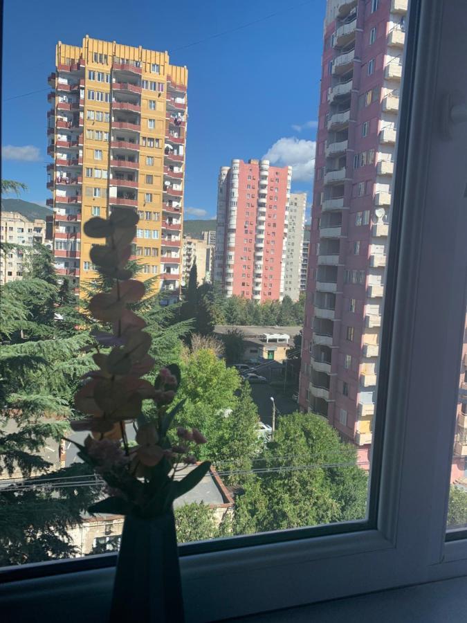 Apartments Of Gregoryan Tbilisi Bagian luar foto